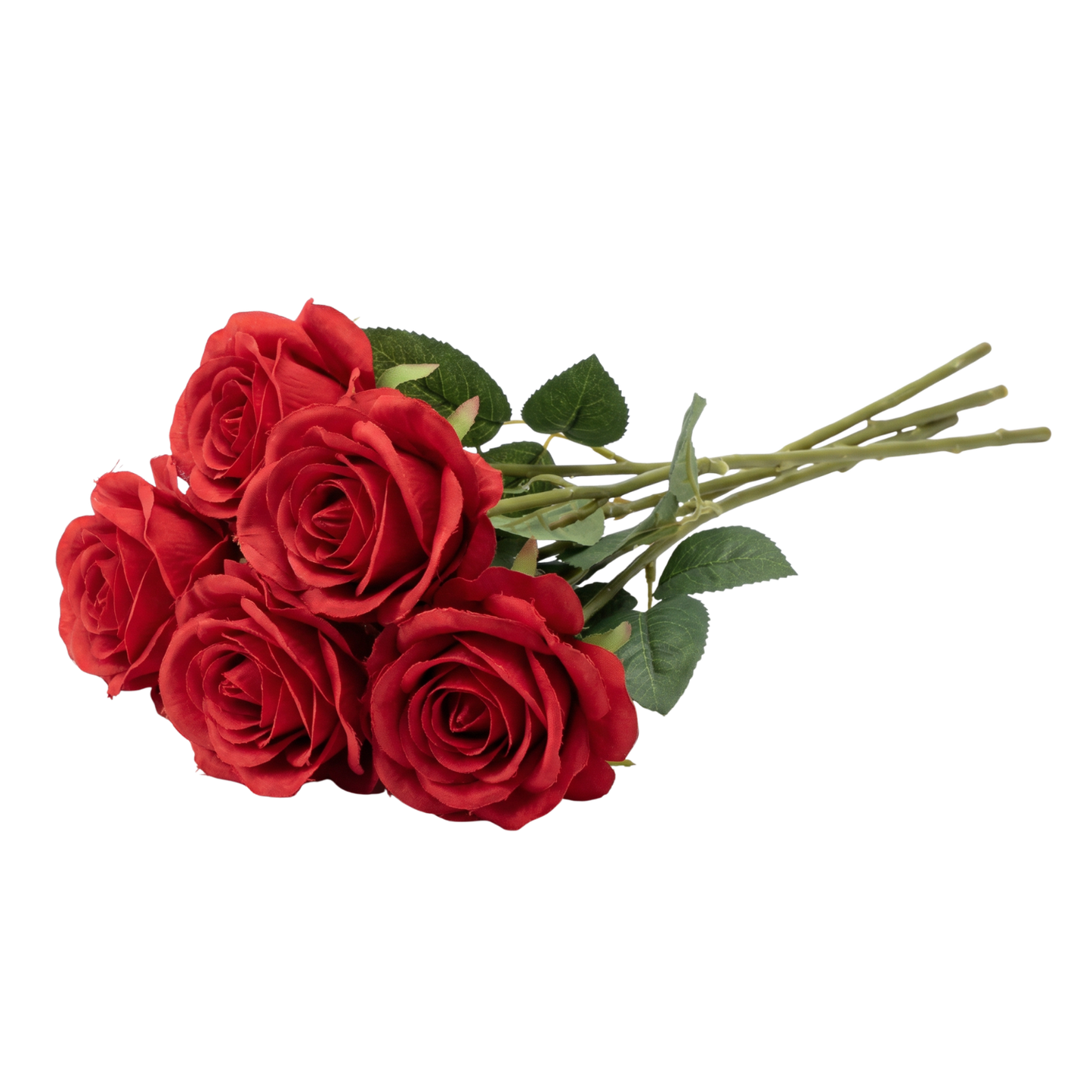 5 Red Roses