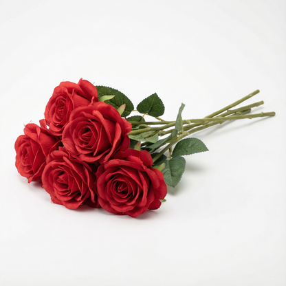 5 Red Roses