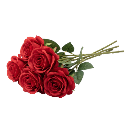 5 Red Roses